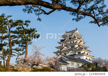 春の福山城と桜 春の福山城と桜 124964949