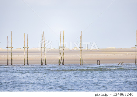Experience a breathtaking scenic coastal view featuring wooden poles during the serene low tide 124965240