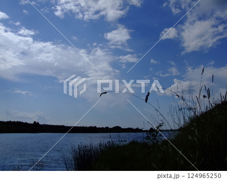 A calm lake under a clear sky: the silence and harmony of nature 124965250