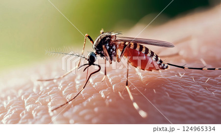 Mosquito on human skin. Zika virus concept. 124965334