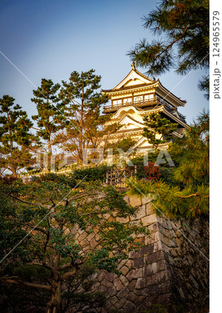 松に囲まれた福山城 124965579