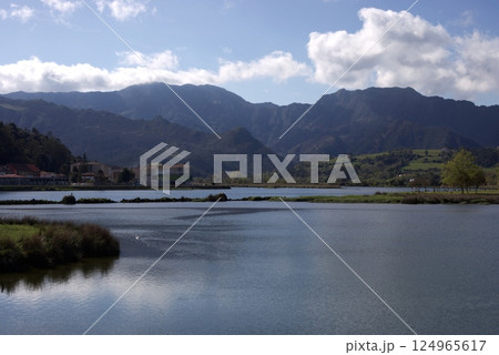Scenic view of river wetlands and mountains in Ribadesella, Asturias, Spain, on a sunny day with a white goose Scenic view of river wetlands and mountains in Ribadesella, Asturias, Spain, on a sunny day with a white goose 124965617