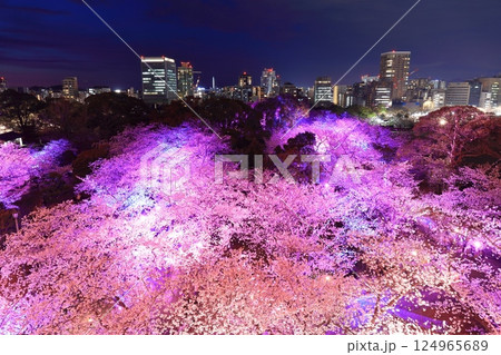 【福岡県】舞鶴公園（福岡城）の桜ライトアップと福岡の夜景 124965689