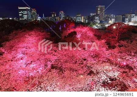 【福岡県】舞鶴公園（福岡城）の桜ライトアップと福岡の夜景 124965691