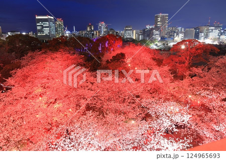 【福岡県】舞鶴公園（福岡城）の桜ライトアップと福岡の夜景 124965693