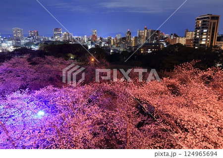 【福岡県】舞鶴公園（福岡城）の桜ライトアップと福岡の夜景 124965694
