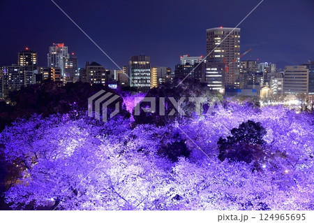 【福岡県】舞鶴公園（福岡城）の桜ライトアップと福岡の夜景 124965695