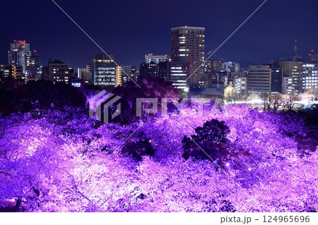 【福岡県】舞鶴公園（福岡城）の桜ライトアップと福岡の夜景 124965696