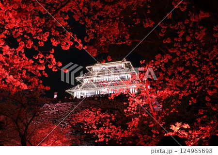 【福岡県】舞鶴公園（福岡城）の幻の天守閣の桜ライトアップ 124965698