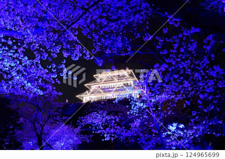 【福岡県】舞鶴公園（福岡城）の幻の天守閣の桜ライトアップ 124965699