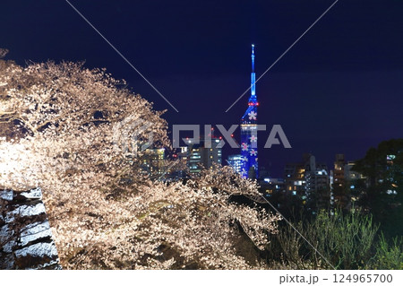 【福岡県】舞鶴公園（福岡城）の桜ライトアップと福岡タワー 124965700