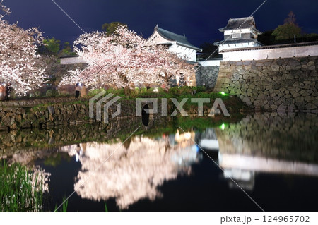 【福岡県】舞鶴公園（福岡城）の桜ライトアップ 124965702