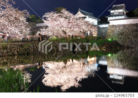 【福岡県】舞鶴公園(福岡城)の桜ライトアップ 【福岡県】舞鶴公園(福岡城)の桜ライトアップ 124965703