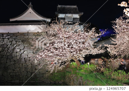 【福岡県】舞鶴公園（福岡城）の桜ライトアップ 124965707