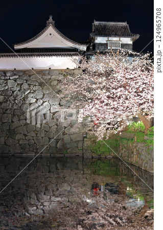 【福岡県】舞鶴公園（福岡城）の桜ライトアップ 124965708