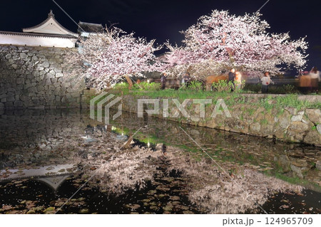 【福岡県】舞鶴公園（福岡城）の桜ライトアップ 124965709