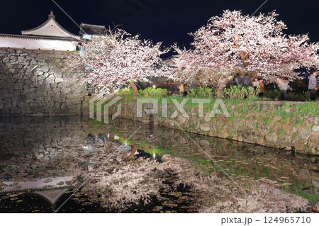 【福岡県】舞鶴公園(福岡城)の桜ライトアップ 【福岡県】舞鶴公園(福岡城)の桜ライトアップ 124965710