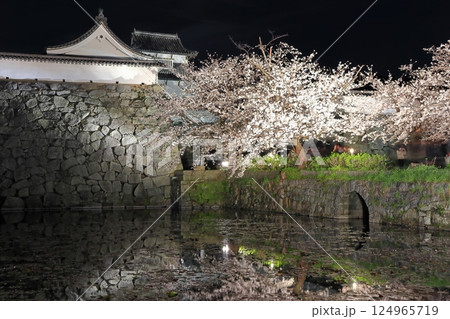 【福岡県】舞鶴公園（福岡城）の桜ライトアップ 124965719