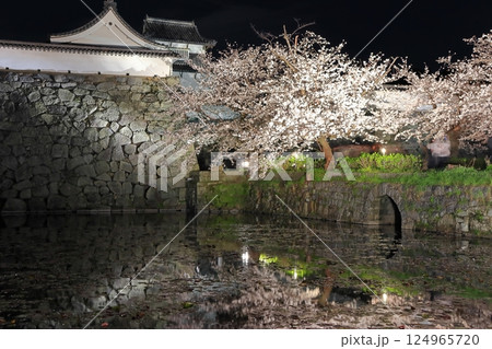 【福岡県】舞鶴公園（福岡城）の桜ライトアップ 124965720