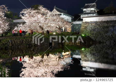 【福岡県】舞鶴公園（福岡城）の桜ライトアップ 124965725