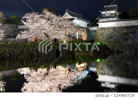 【福岡県】舞鶴公園（福岡城）の桜ライトアップ 124965729