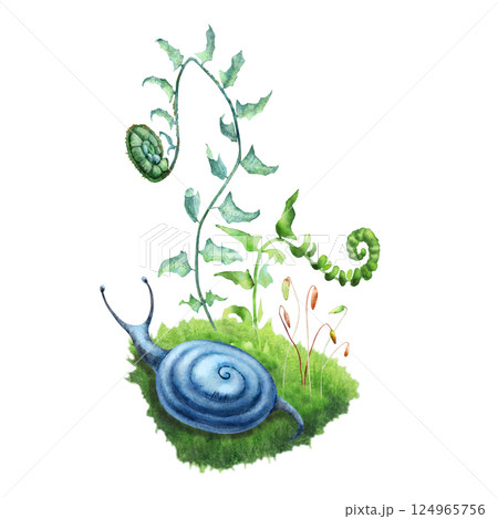 Cute absrtact blue snail on a green moss with a fern tree and low forest mushrooms.. Hand drawn watercolors isolated on white background. Biophilic style, ideal for ecological and spiritual topics Cute absrtact blue snail on a green moss with a fern tree and low forest mushrooms.. Hand drawn watercolors isolated on white background. Biophilic style, ideal for ecological and spiritual topics 124965756