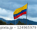 Flag of Colombia tricolor, Bogota, Colombia 124965979