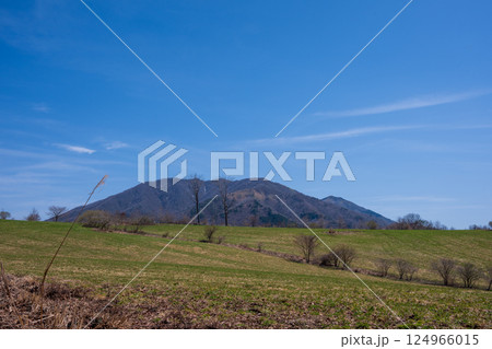 日本の岡山県真庭市の蒜山高原の美しい春の風景 124966015
