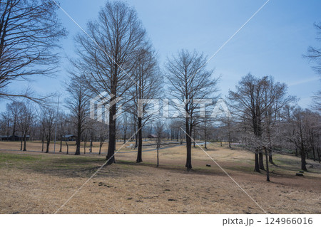 日本の岡山県真庭市の蒜山高原の美しい春の風景 124966016