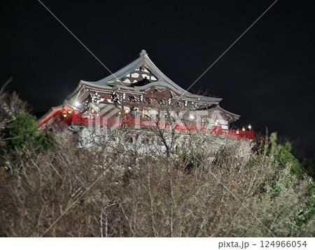 ライトアップされた寺 124966054