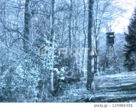 winter landscape with a park 124966308