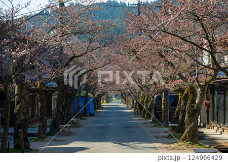 日本の岡山県新庄村の春の美しい風景 日本の岡山県新庄村の春の美しい風景 124966429