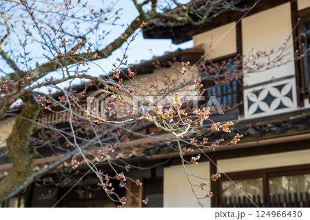 日本の岡山県新庄村の春の美しい風景 124966430