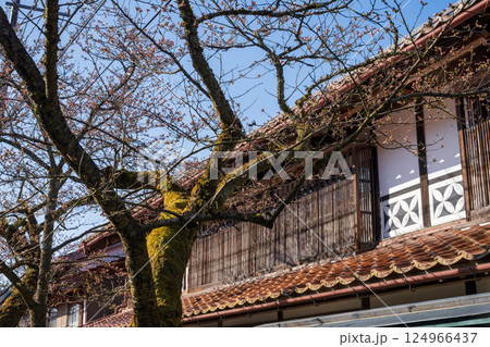 日本の岡山県新庄村の春の美しい風景 124966437
