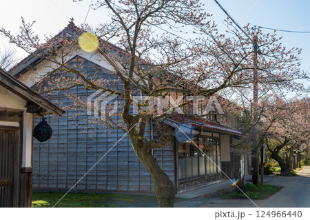 日本の岡山県新庄村の春の美しい風景 日本の岡山県新庄村の春の美しい風景 124966440