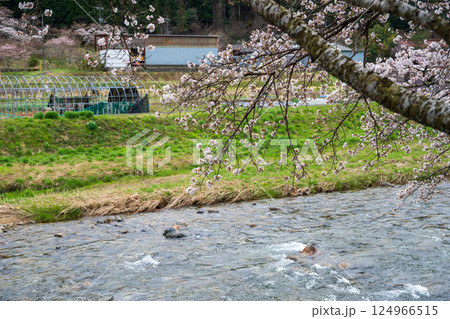 日本の岡山県真庭市の美甘宿の美しい春の風景と古い建物 日本の岡山県真庭市の美甘宿の美しい春の風景と古い建物 124966515