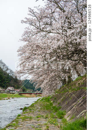 日本の岡山県真庭市の美甘宿の美しい春の風景と古い建物 日本の岡山県真庭市の美甘宿の美しい春の風景と古い建物 124966516