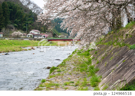 日本の岡山県真庭市の美甘宿の美しい春の風景と古い建物 日本の岡山県真庭市の美甘宿の美しい春の風景と古い建物 124966518