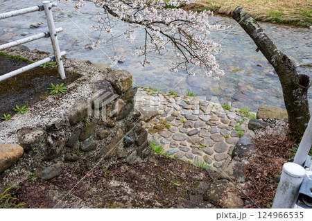 日本の岡山県真庭市の美甘宿の美しい春の風景と古い建物 日本の岡山県真庭市の美甘宿の美しい春の風景と古い建物 124966535
