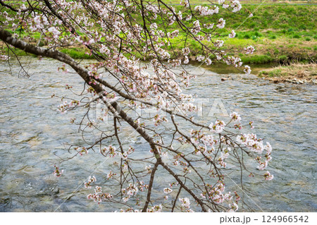 日本の岡山県真庭市の美甘宿の美しい春の風景と古い建物 日本の岡山県真庭市の美甘宿の美しい春の風景と古い建物 124966542
