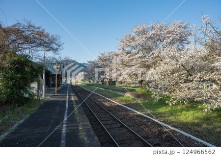 日本の岡山県真庭市の月田駅の美しい春の風景 124966562