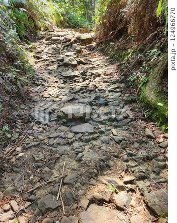 歴史のある石の登山道 124966770
