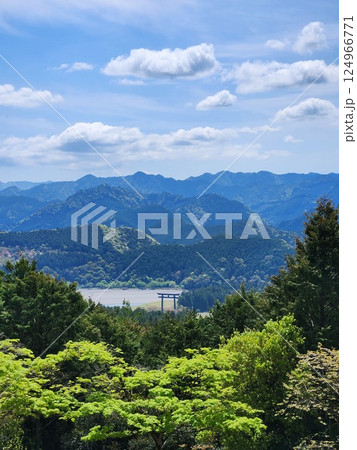 俯瞰で見る鳥居の風景 124966771