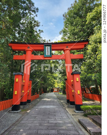 赤い鳥居 124966777