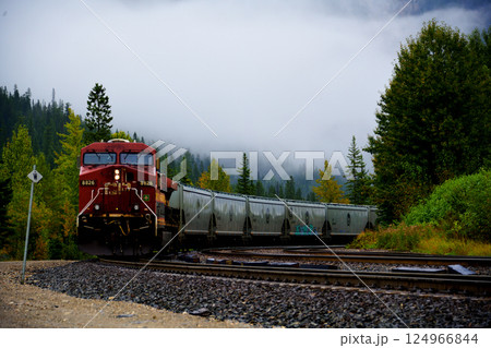 長大な貨物列車 124966844
