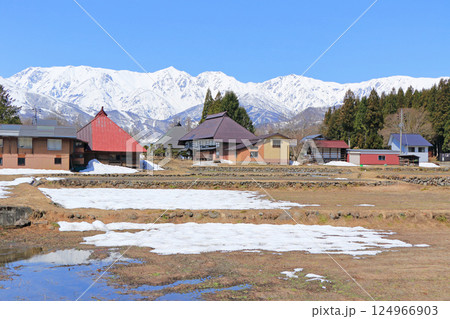 白馬山麓　雪どけの春 124966903