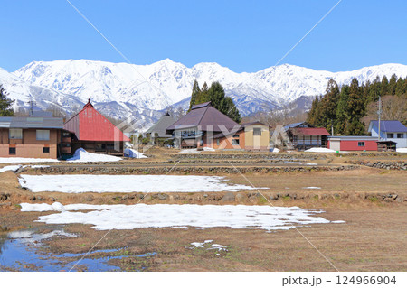 白馬山麓　雪どけの春 124966904