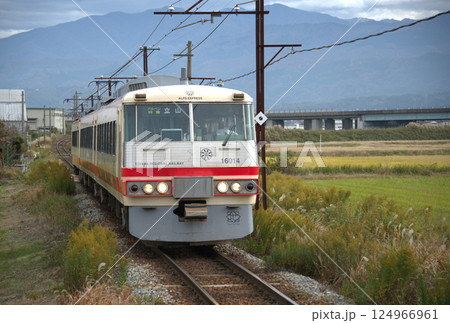 田園を走る元西武特急 田園を走る元西武特急 124966961