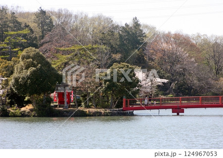 大沼公園の弁天島 弁財天で お願いをして(2025.4.9) 満開の桜と一緒の記念写真を 大沼公園の弁天島 弁財天で お願いをして(2025.4.9) 満開の桜と一緒の記念写真を 124967053