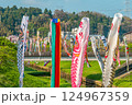 瀬又の桜並木と鯉のぼりの風景 瀬又の桜並木と鯉のぼりの風景 124967359